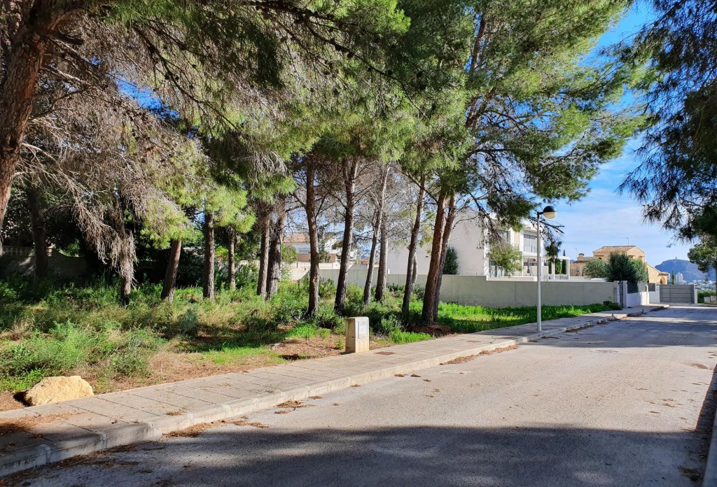 Reventa - Plot - Moraira