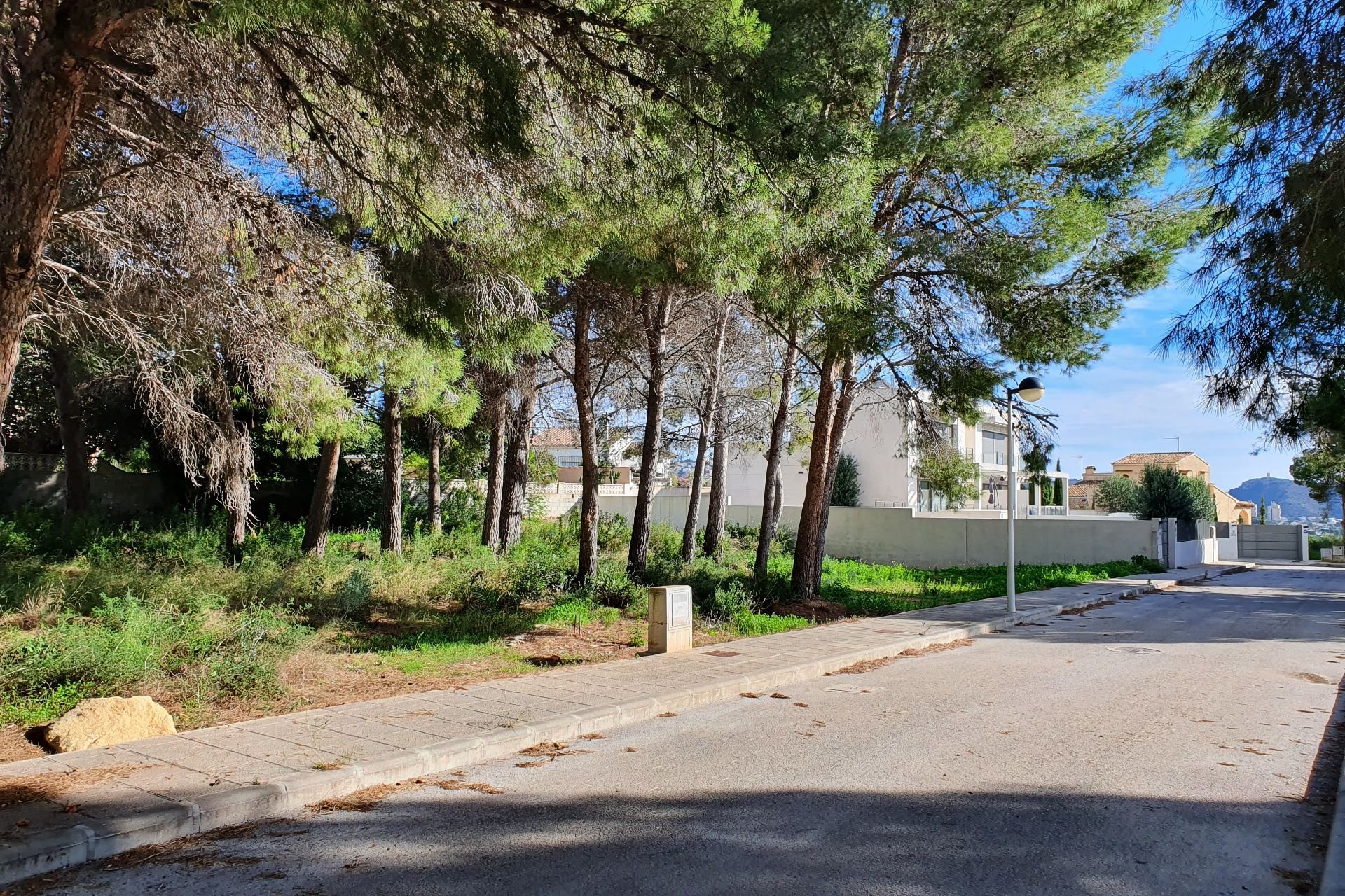 Reventa - Plot - Moraira