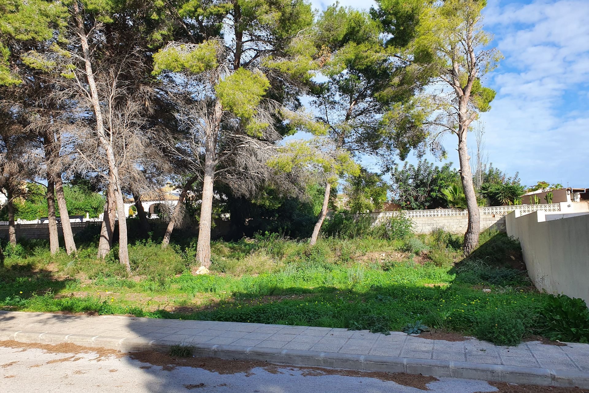 Reventa - Plot - Moraira