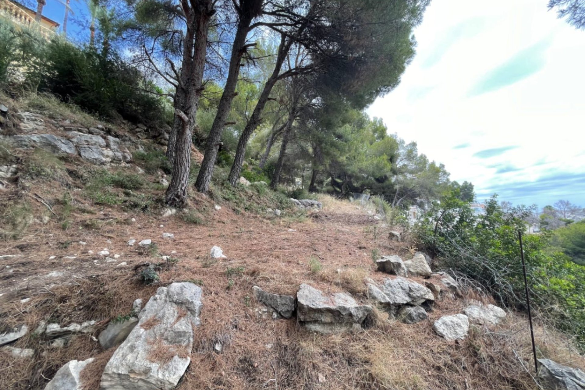 Reventa - Plot - Moraira