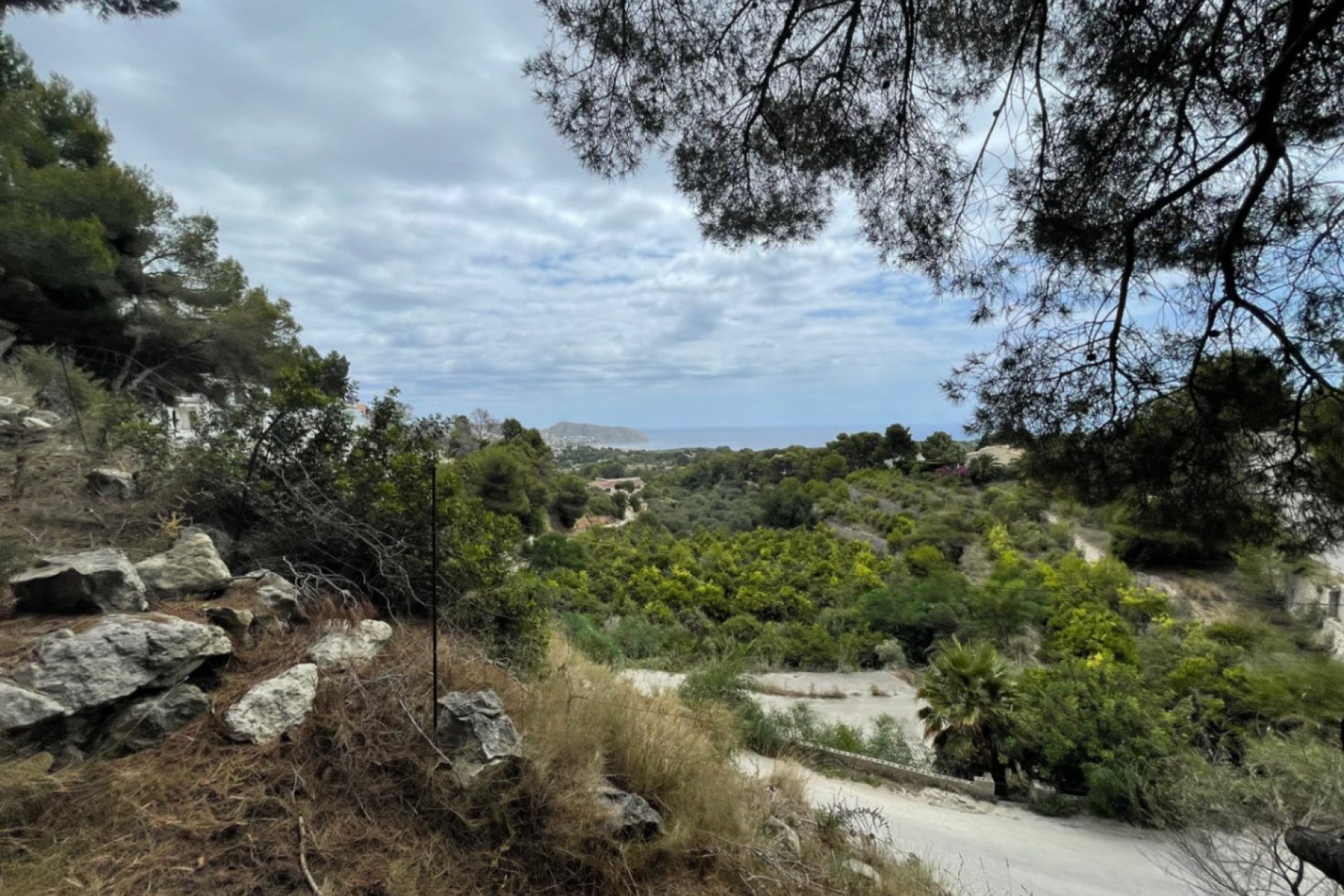 Reventa - Plot - Moraira