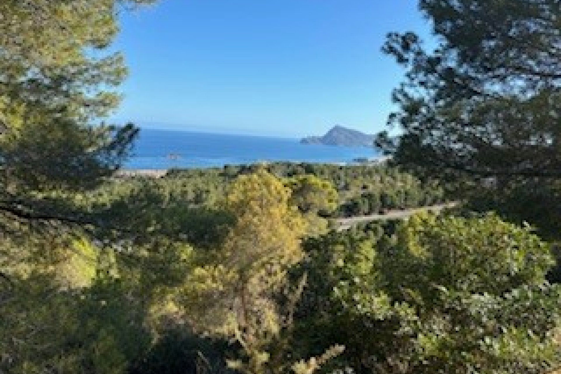 Reventa - Terreno - Altea