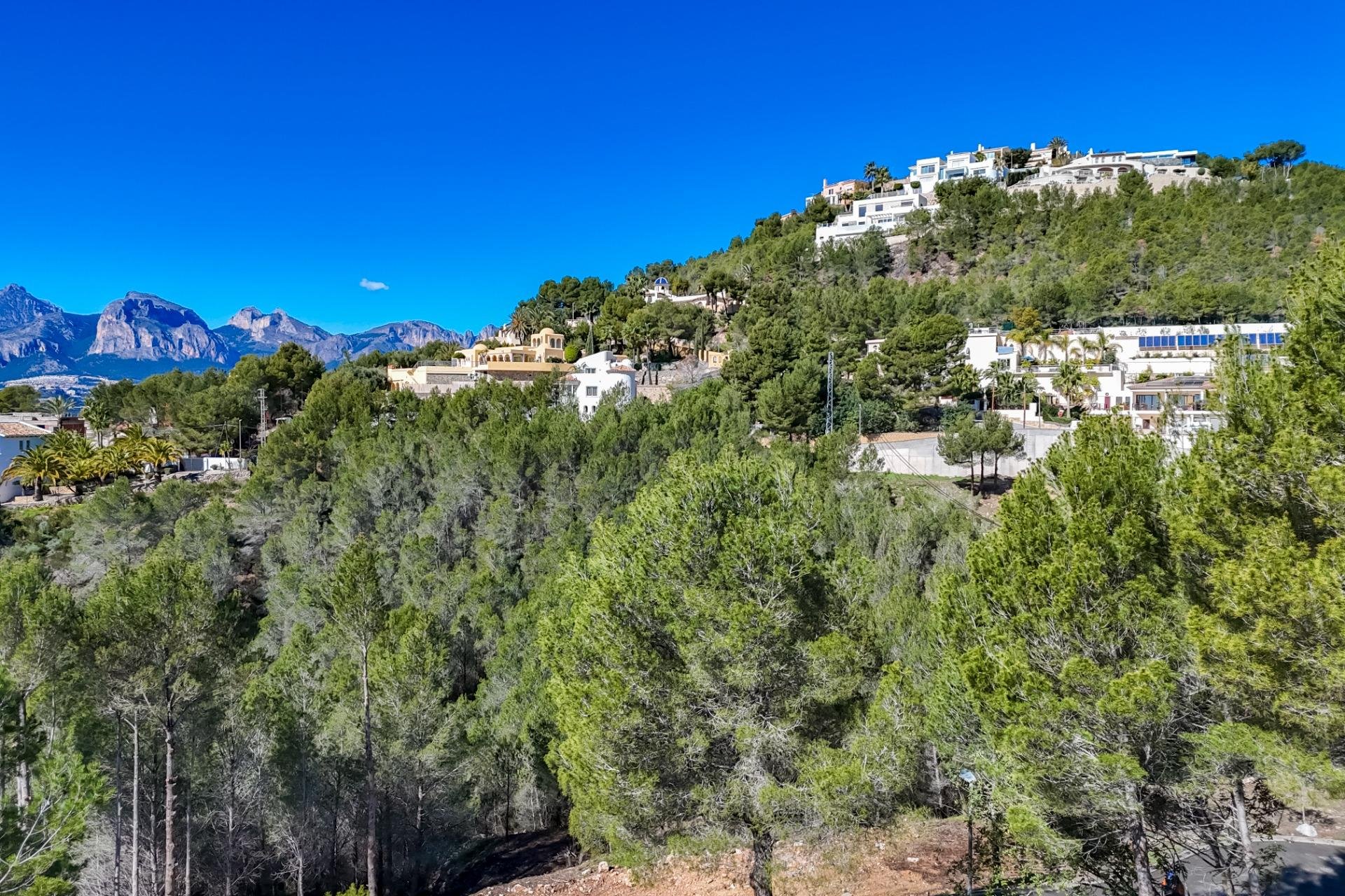 Reventa - Terreno - Callosa De Ensarrià - Santa clara