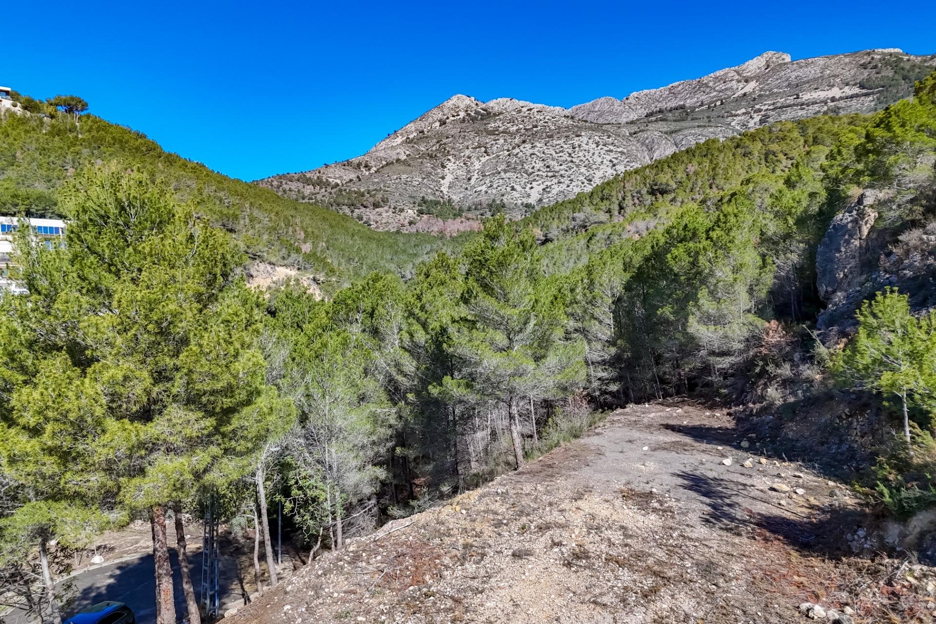Reventa - Terreno - Callosa De Ensarrià - Santa clara