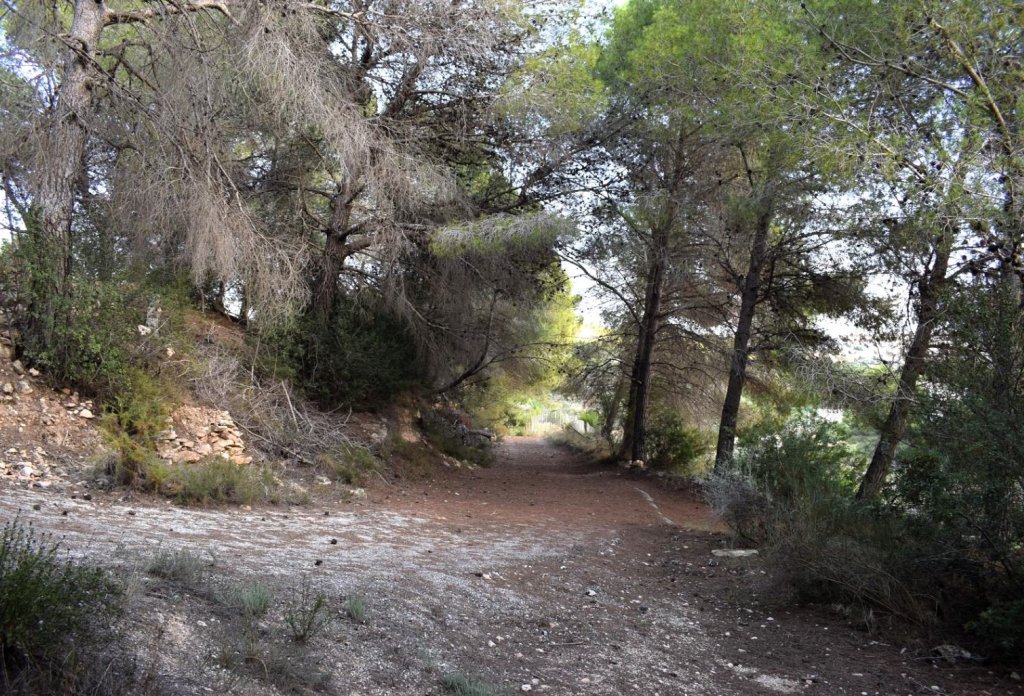 Reventa - Terreno - Calpe - Calpe - Urbanizaciones