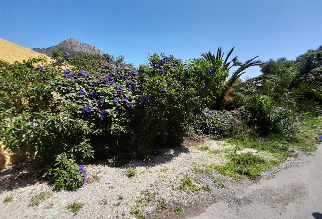 Reventa - Terreno - Calpe - Maryvilla