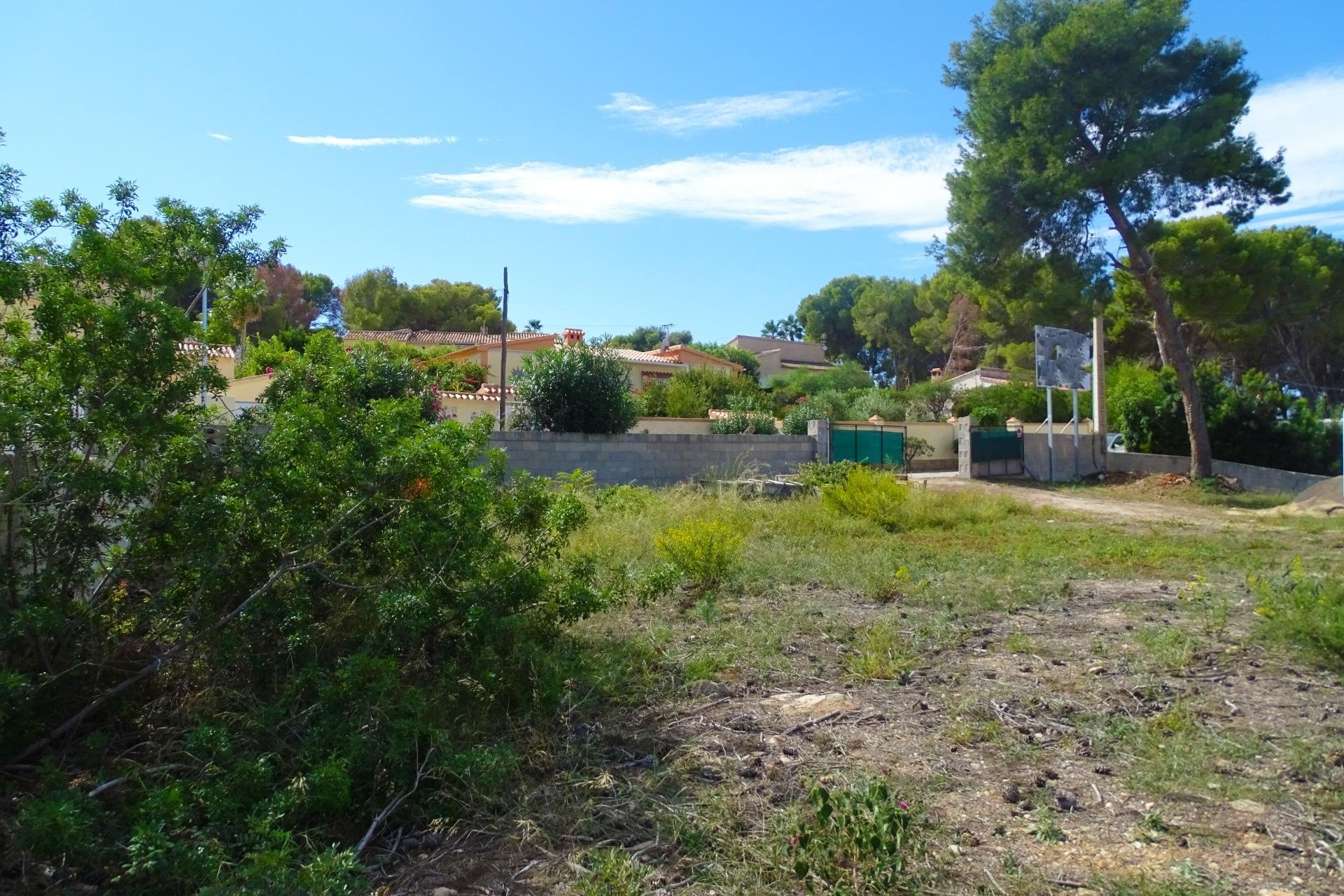 Reventa - Terreno - Teulada - Zona Residencial