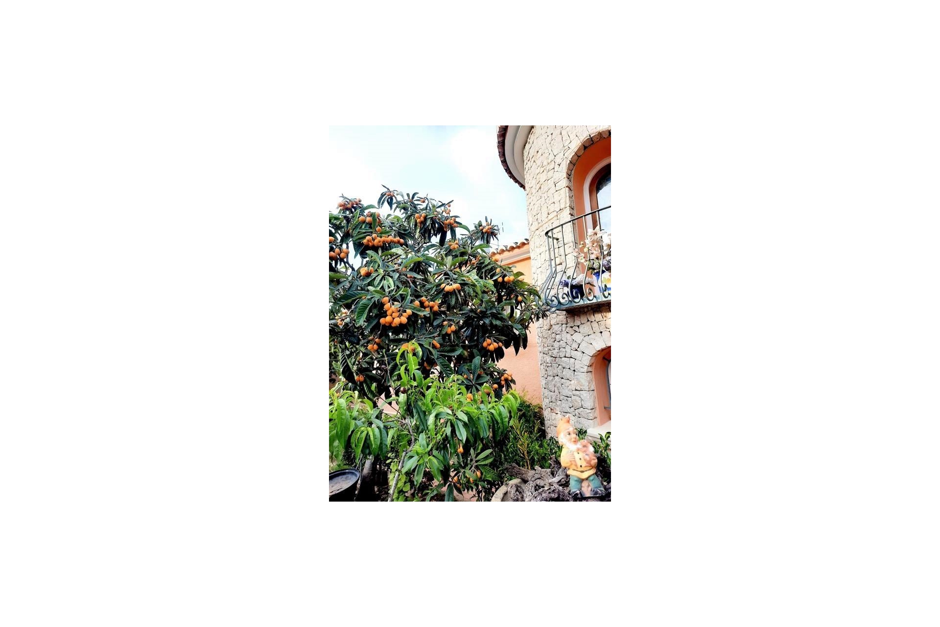 Reventa - Villa - Benissa - Fanadix