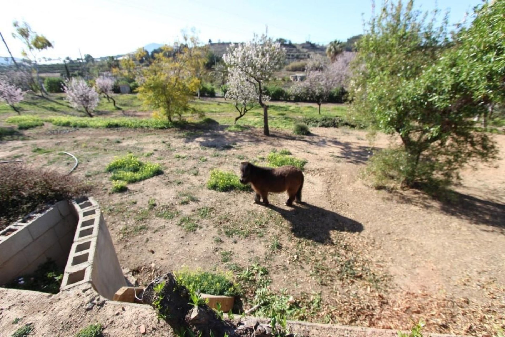 Reventa - Villa - La Nucía - El Tossal-Bello Horizonte